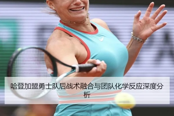 ha-deng-jia-meng-yong-shi-dui-hou-zhan-shu-rong-he-yu-tuan-dui-hua-xue-fan-ying-shen-du-fen-xi-2-984.jpg